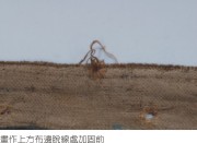 陳澄波—靜物（酒器與水果籃）