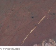 陳澄波—花（返台時期）