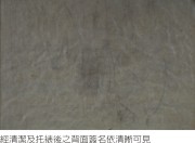 陳澄波—花（返台時期）