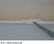 陳澄波—嘉義水源處寫生