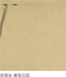 陳澄波—牽牛花