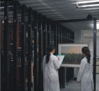 藝術科技保存修復組 ART TECHNOLOGICAL CONSERVATION & RESTORATION SECTION