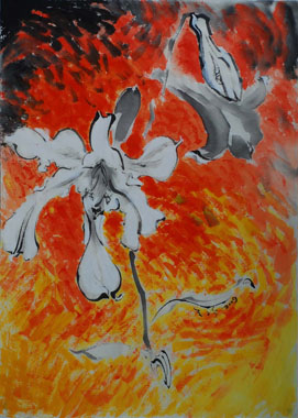 �f�¡@Roxanne Lu�@�����k�H