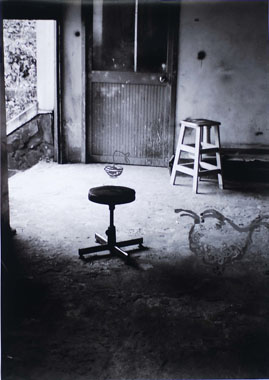 ���a���@Lee Chia-Ying�@�L�D