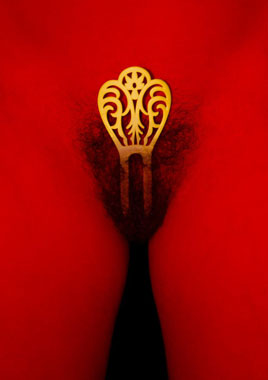 �����E�[��ȡ@Elisa Garcia�@�����k�Hvolver