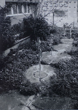 ���a���@Lee Chia-Ying�@�L�D