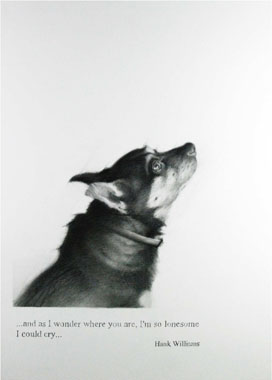 �����Eù�����@Chema L&oacute;pez�@�ڦp��������A���@�گ�s��I&acute;m so lonesome, Icould cry&hellip;