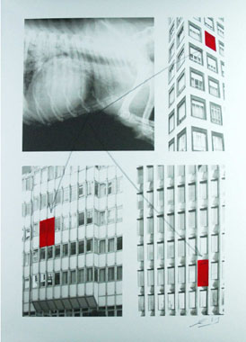 �����Ȧw�����Eù���贵�E�Ǧh�@M&ordf; &Aacute;ngeles L&oacute;pez�@�R���O���QAmores perros