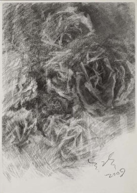 �f�¡@Roxanne Lu�@�ת����s