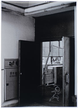 ���a���@Lee Chia-Ying�@�ת����s