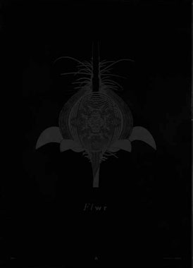 �Z�h�p���E�ԥd���ԡ@El bandolero Lacabra�@FLWR�@�h�L