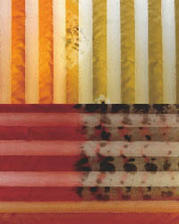 �y�X��z�ն�Ӫ��VDIY