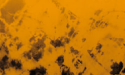 綻藍之美─校園藍染DIY