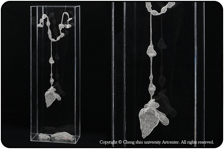 �u�O���p�߳Q���F�@�U�@�@��15��@925�ȡB�ï]�B�ƾǬV��@2009