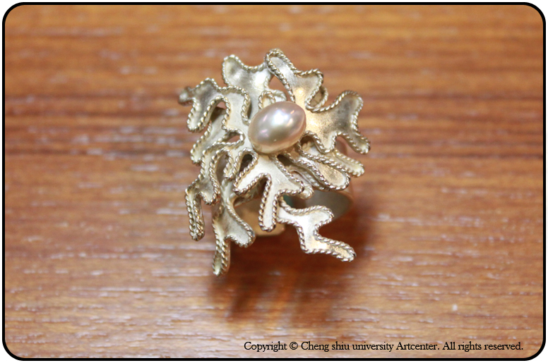 �d����١@3&times;2.8&times;2.9�@925�ȡB�ï]�@2011