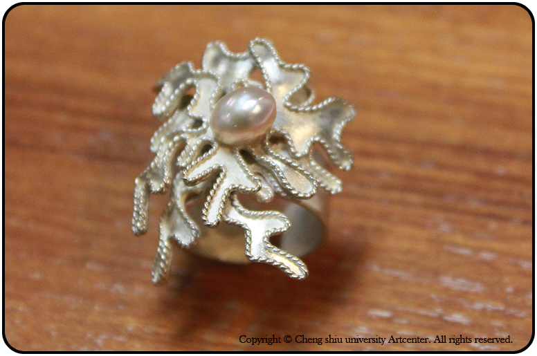 �d����١@3&times;2.8&times;2.9�@925�ȡB�ï]�@2011