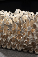 ��ﲳ¬.�}�æ�