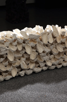 ��ﲳ¬.�}�æ�