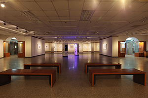 澳門元素—蘇沛權紫外線固化凹版畫製版展覽-展場實況