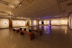 澳門元素—蘇沛權紫外線固化凹版畫製版展覽-展場實況