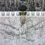 �Գ������T 