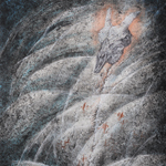 ���դ��j�k�@