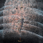 �����M��