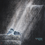 �b���F��