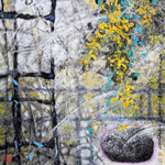 ���~���ƶ����B