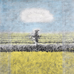 �x�M�j�a���@