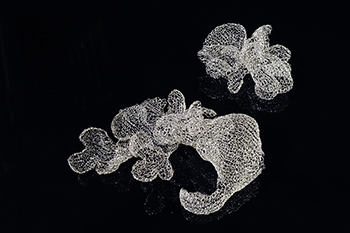 蘇小夢工藝作品