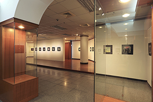 展場實況／Exhibit Commentary