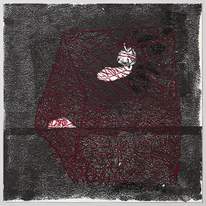 30-30臺灣與墨西哥國際版畫展