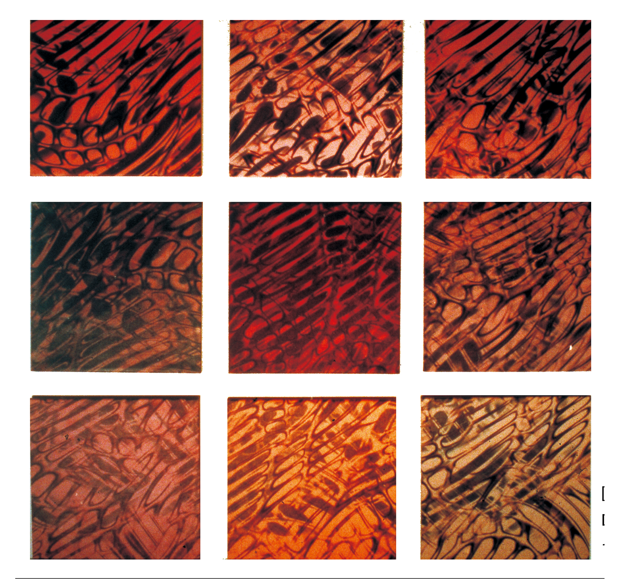 「慾力潛行」周文麗個展