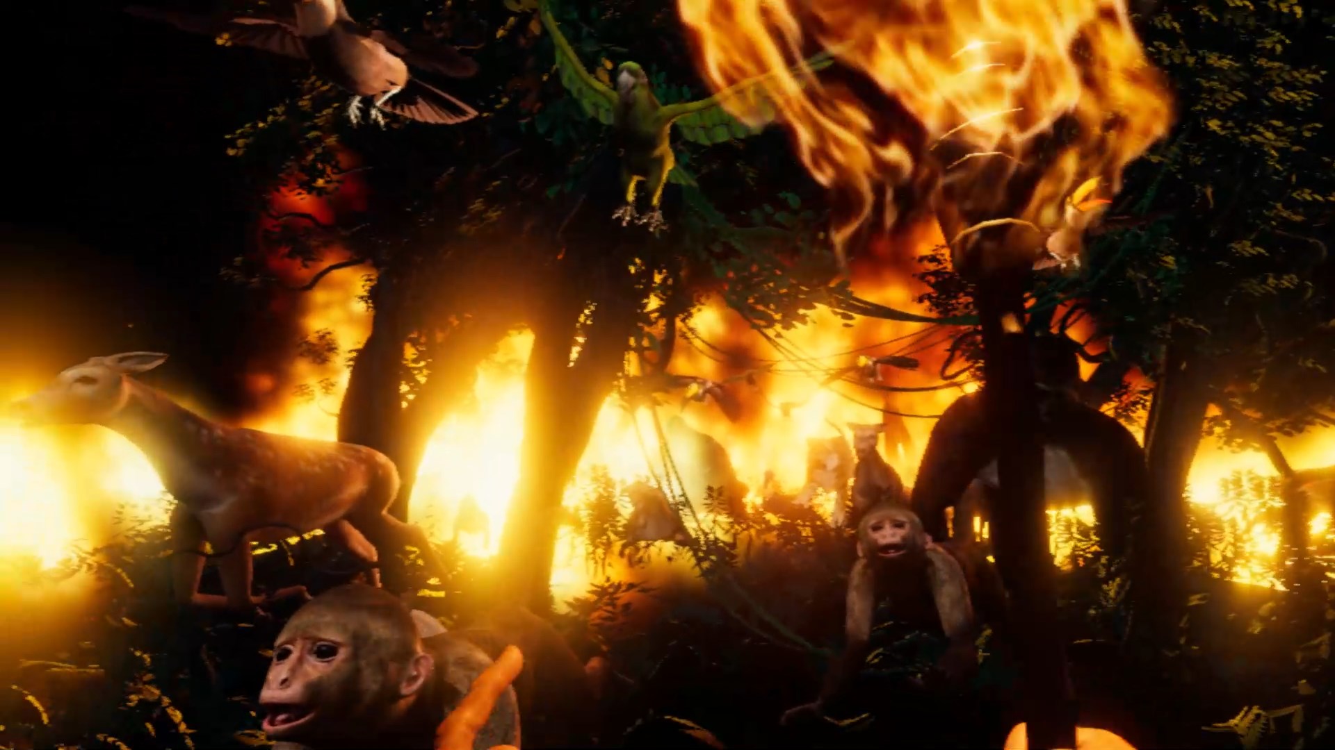 自由身—黃心健的元宇宙