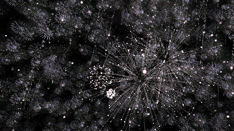 自由身—黃心健的元宇宙