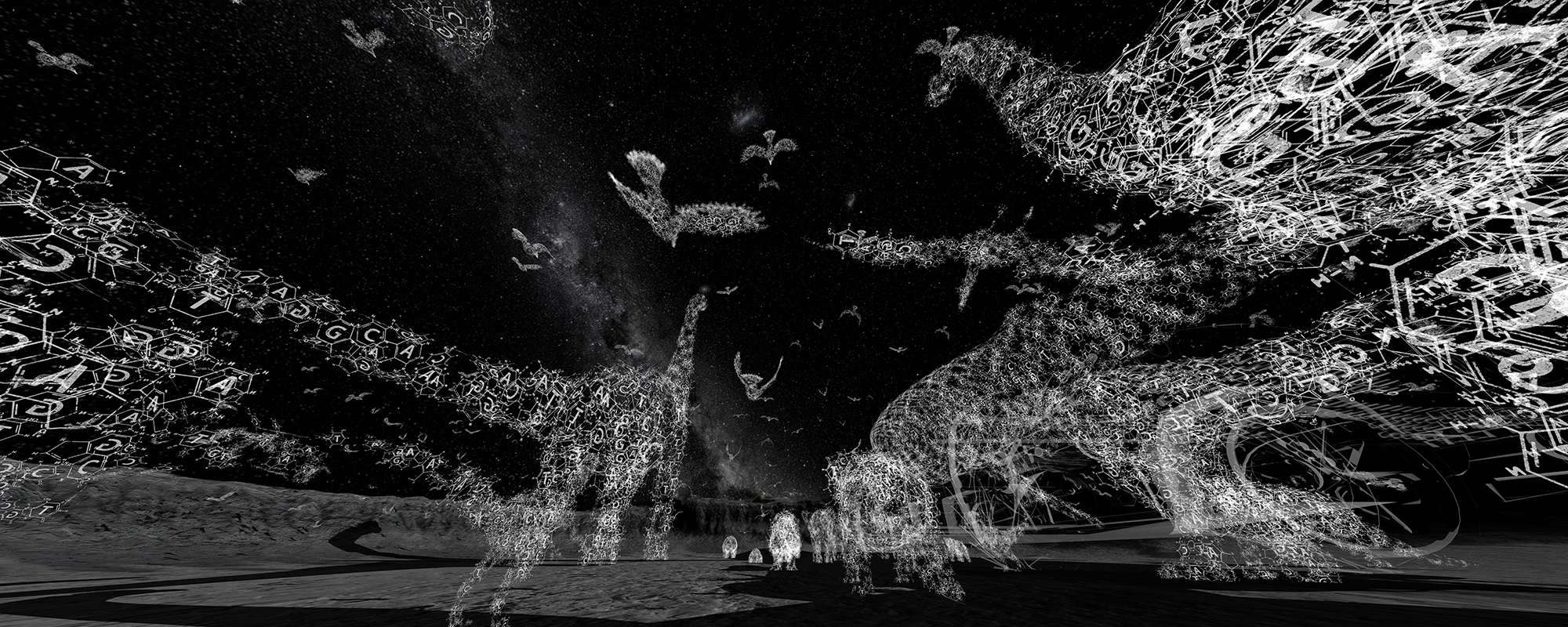 自由身—黃心健的元宇宙