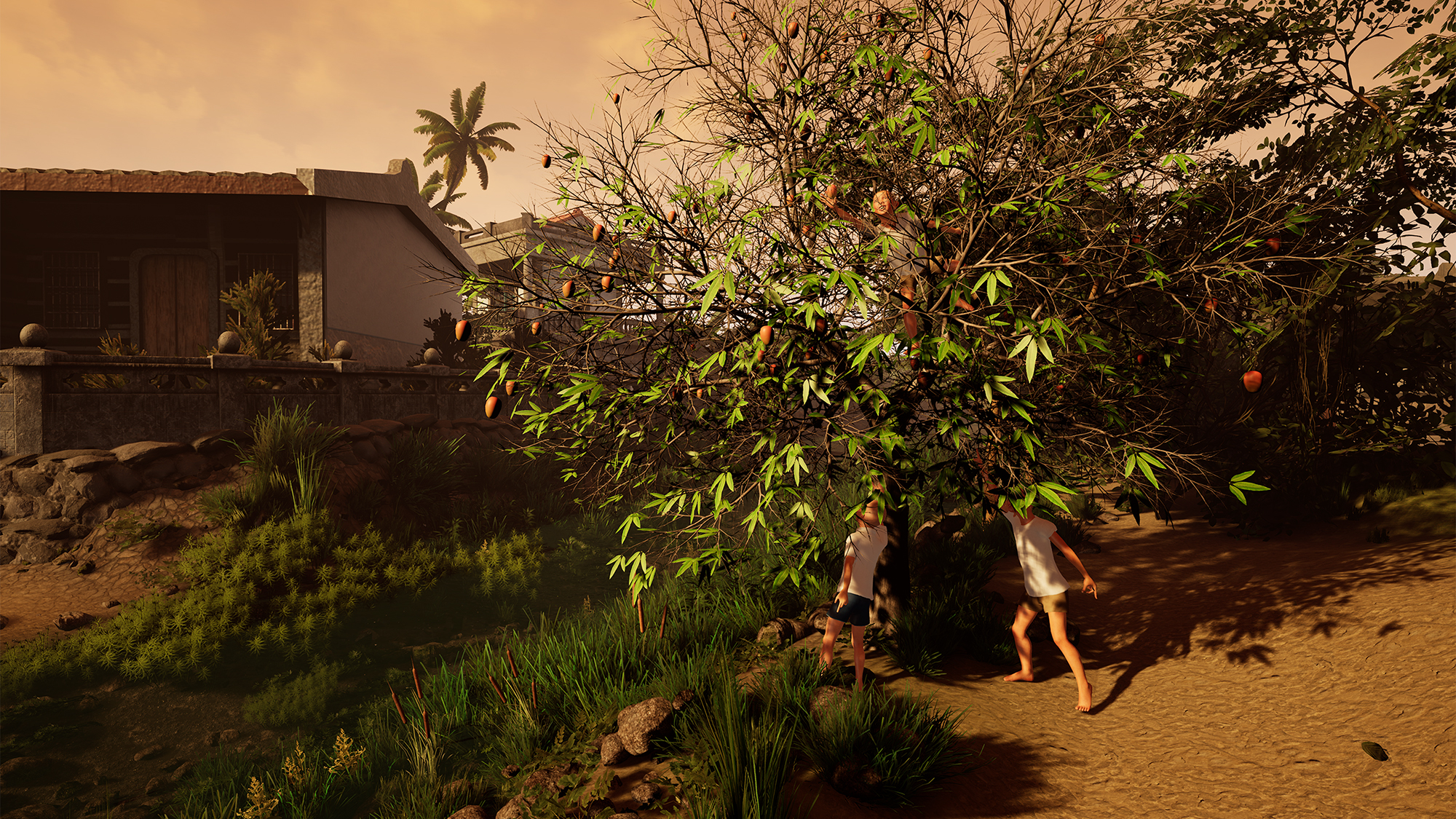 自由身—黃心健的元宇宙