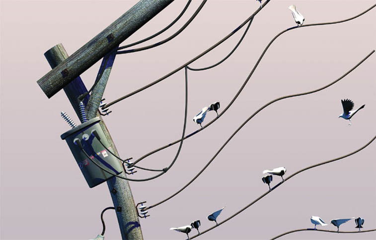 自由身—黃心健的元宇宙