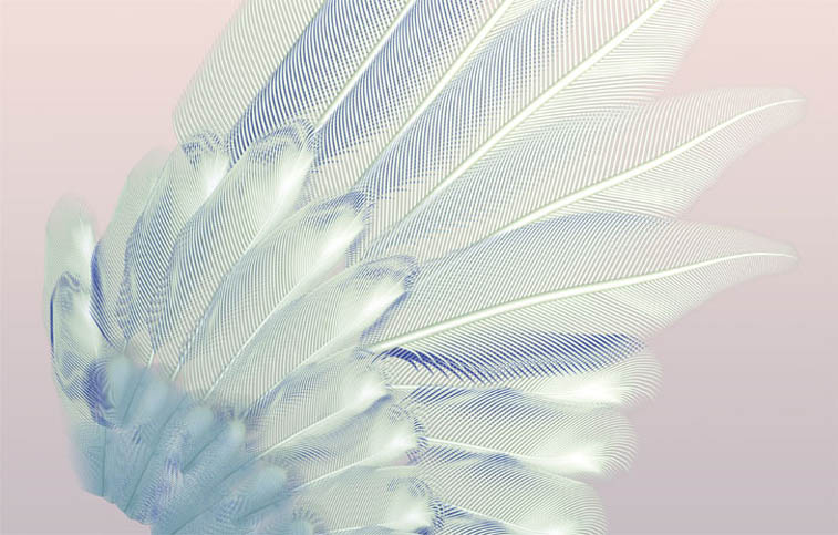 自由身—黃心健的元宇宙