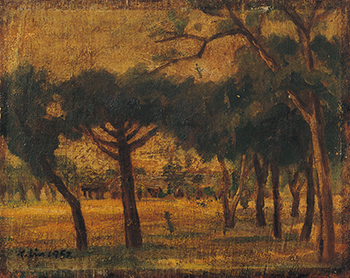 南方的太陽～林天瑞紀念展