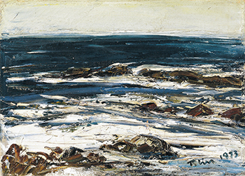 南方的太陽～林天瑞紀念展