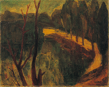 南方的太陽～林天瑞紀念展