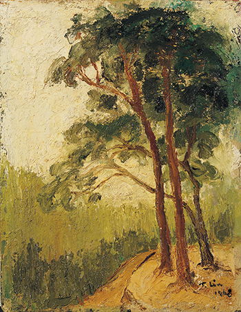 南方的太陽～林天瑞紀念展