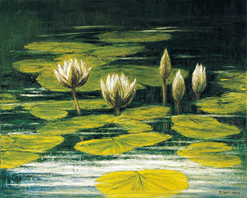 南方的太陽～林天瑞紀念展