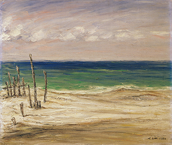 南方的太陽～林天瑞紀念展