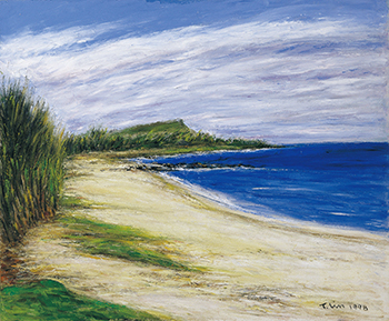 南方的太陽～林天瑞紀念展