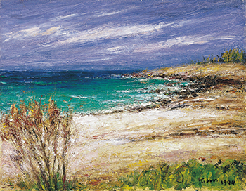 南方的太陽～林天瑞紀念展