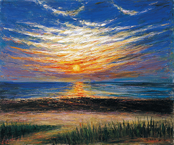 南方的太陽～林天瑞紀念展