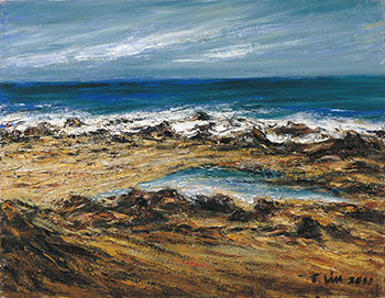 南方的太陽～林天瑞紀念展